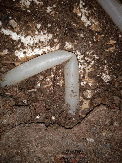 宁县堵点精准查找